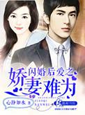 闪 婚娇妻