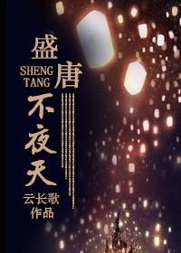 盛唐不夜天by云长歌讲的是什么