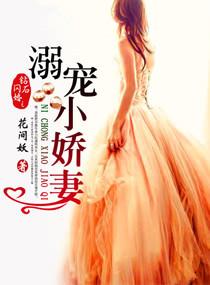 钻石闪婚溺宠小娇妻百度阅读