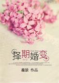 择妻婚变
