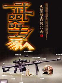 武器专家堆什么属性