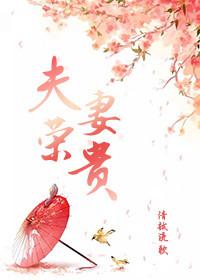 夫荣妻贵全集短剧免费观看