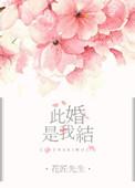 此婚已经年番外