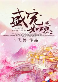盛宠如意作者飞翼