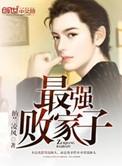 最强败家子书籍