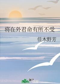 爱上翻译白小姐大结局