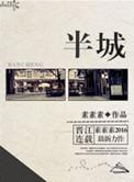 半城风月讲的是什么故事