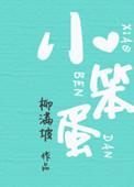 小笨蛋讲的是什么