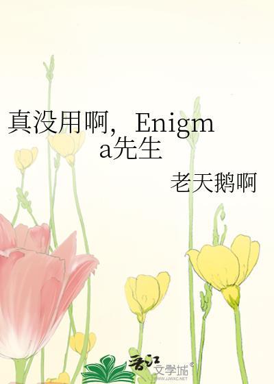 真没用啊enigma先生百度