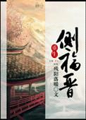 重生侧福晋之逆天改命