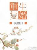 重生复婚类似