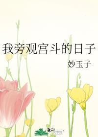 宫斗旁观者