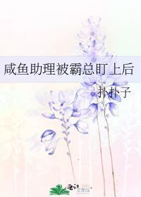这个杀手不太冷完整