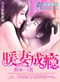 暖妻成瘾韩禛阅读txt