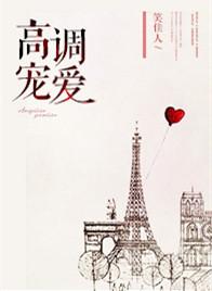 高调宠爱讲的什么