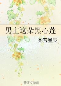 男主这朵黑心莲吗