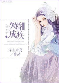婚久终成宠 晋江