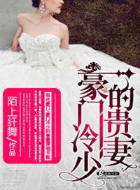 豪门冷少宠妻甜妻全文
