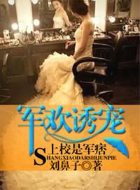 军官宠上瘾向暖