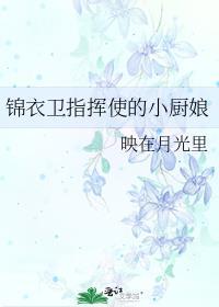 有羽倾舟txt百度