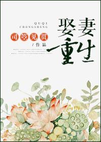 娶妻娶悍全本