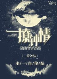 一撩钟情作者木一白