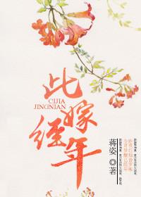 此婚已经年凤梧
