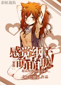 家教没有纲吉