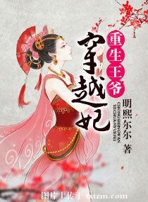 言情穿越重生王爷王妃类