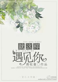 就这样遇见你 番外