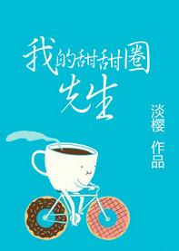 我的甜甜圈先生有声书