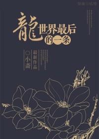 最后一条龙是什么?