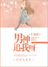 男神追妻指南百度百科