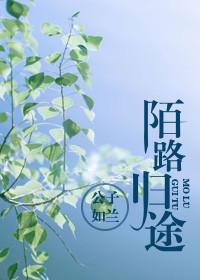 陌路归途第三季