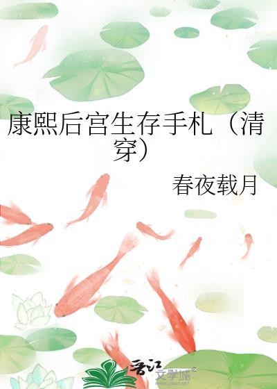 清穿康熙后妃的