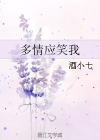 多情应笑我酒小七讲的什么