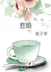 惹婚成爱女人休想带球跑全文阅读