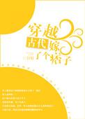穿越古代嫁了个痞子的