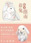 新手养兔子须知