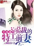 全球通缉总裁夫人不好惹