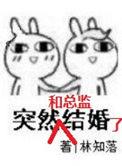 突然和总监结婚了谁是攻
