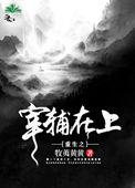 重生之宰辅在上 牧荑黄黄
