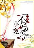 小妾不好当(穿书)好看吗