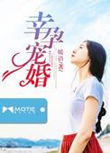 幸孕宠妻简介