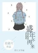 盛年不重来后面是什么