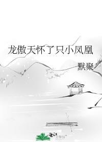 龙傲天怀了只小凤凰by