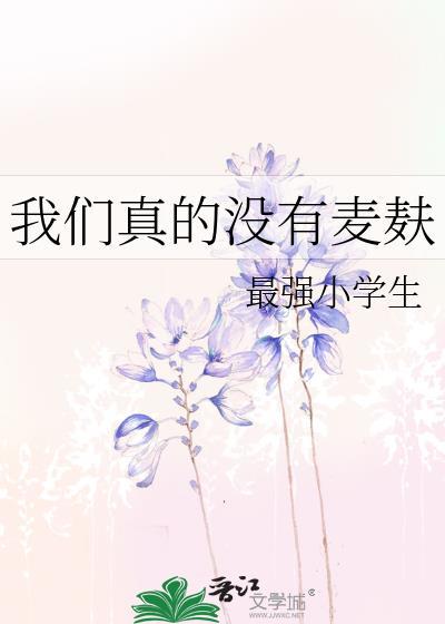我们真的没有麦麸txt