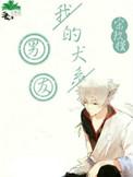我的犬系男友完整版