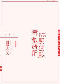 君似明月我似雾是什么意思