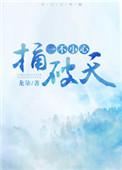 一不小心捅破天txt龙柒
